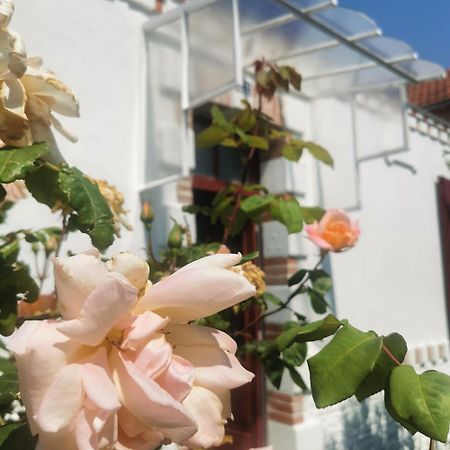 Au Coin Fleuri Villa La Bernerie-en-Retz Bagian luar foto