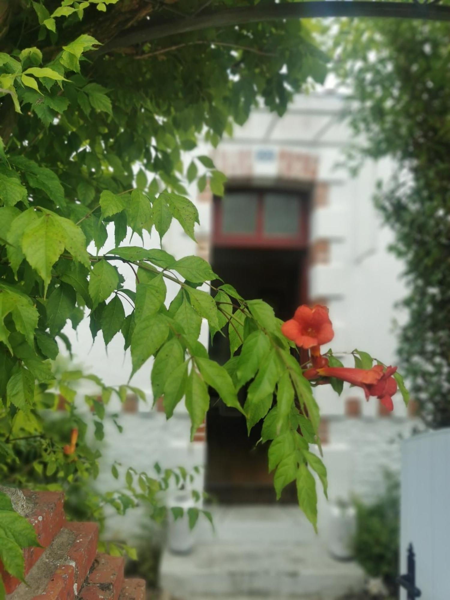 Au Coin Fleuri Villa La Bernerie-en-Retz Bagian luar foto