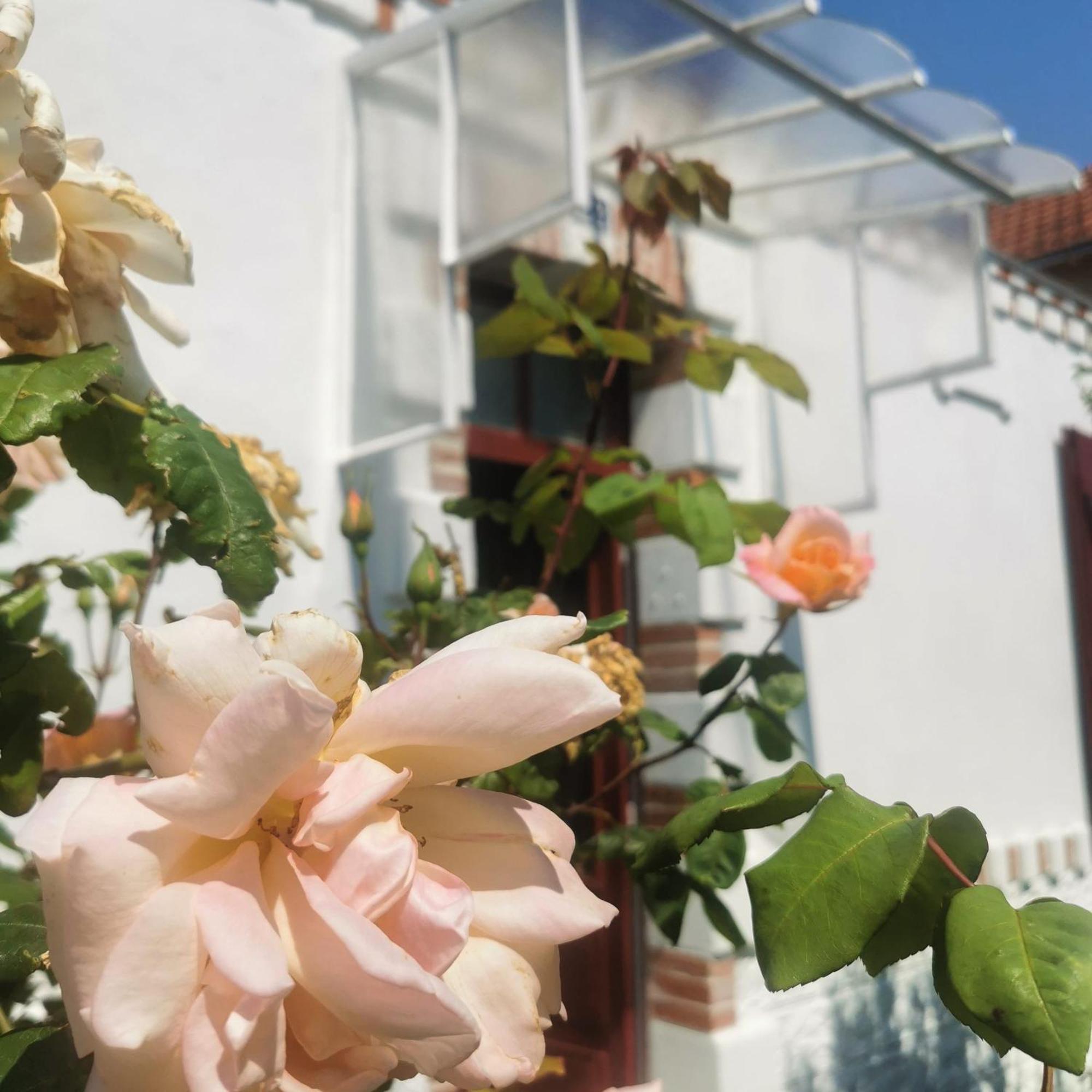 Au Coin Fleuri Villa La Bernerie-en-Retz Bagian luar foto